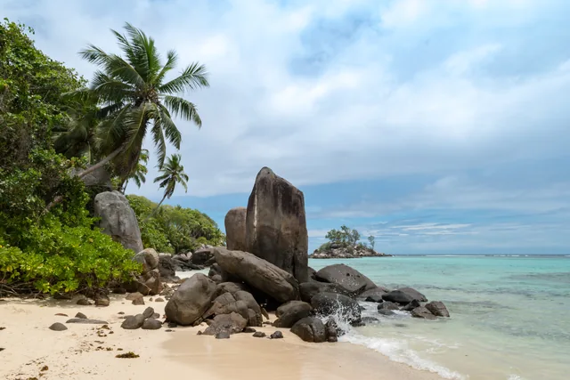 Palmen und Granitfelsen an der Küste von Anse Royale auf Mahé